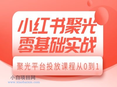 小红书聚光零基础实战，聚光平台投放课程从0到1-小白项目分享网