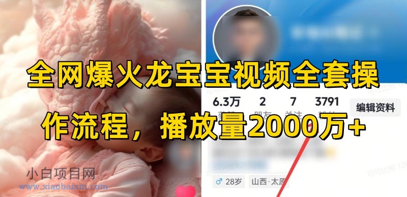 全网爆火龙宝宝视频全套操作流程，播放量2000万+-小白项目分享网