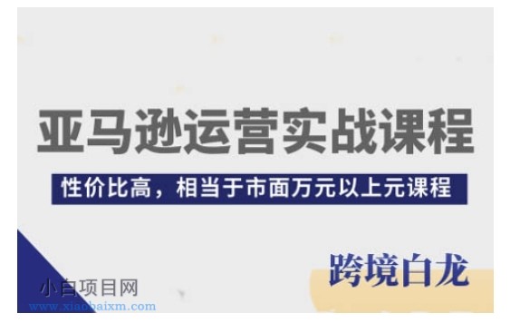 亚马逊运营实战课程,亚马逊从入门到精通,性价比高,相当于市面万元以上元课程