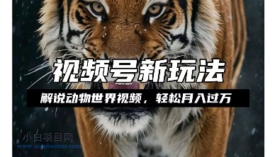 利用动物世界解说视频,赚分成计划收益,轻松月入过W,操作简单【揭秘】