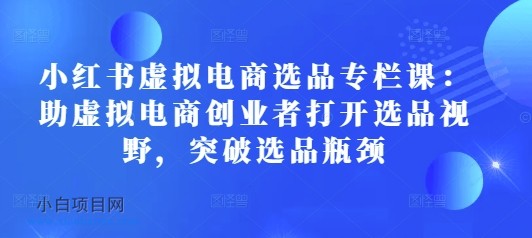 小红书虚拟电商选品专栏课：助虚拟电商创业者打开选品视野，突破选品瓶颈-小白项目分享网