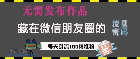 藏在微信朋友圈的流量密码，无需发布作品，单日引流100+精准创业粉【揭秘】-小白项目分享网