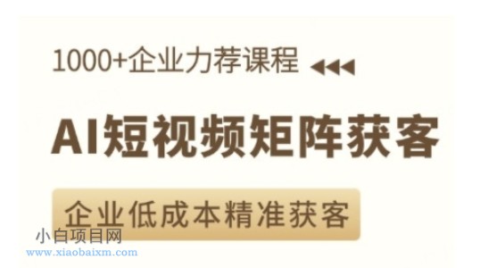 AI短视频矩阵获客实操课，企业低成本精准获客-小白项目分享网