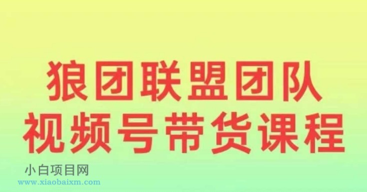 狼团联盟2024视频号带货,0基础小白快速入局视频号
