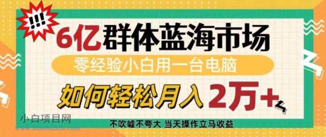 6亿群体蓝海市场,零经验小白用一台电脑,如何轻松月入过W【揭秘】