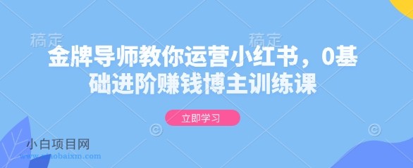 金牌导师教你运营小红书,0基础进阶赚钱博主训练课