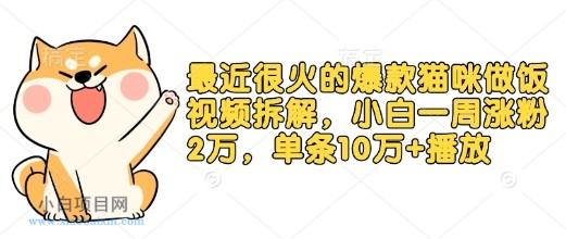 最近很火的爆款猫咪做饭视频拆解，小白一周涨粉2万，单条10万+播放(附保姆级教程)-小白项目分享网