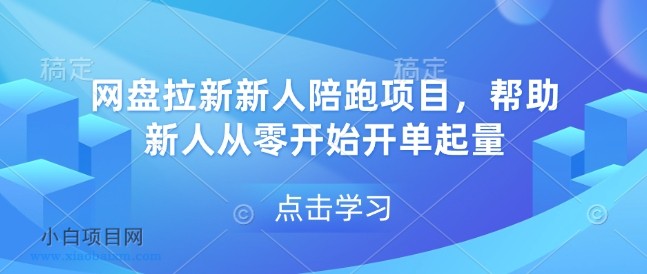 网盘拉新新人陪跑项目，帮助新人从零开始开单起量-小白项目分享网