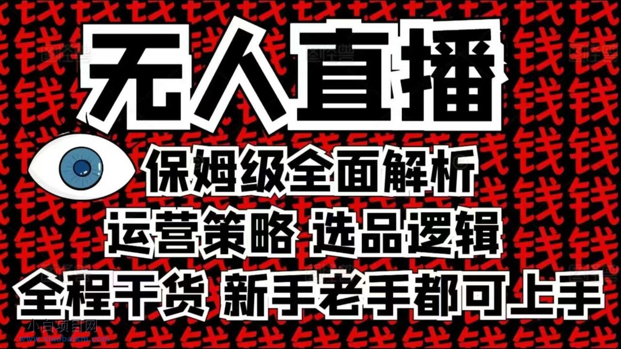 2025无人直播这么做就对了，保姆级全面解析，全程干货，新手老手都可上手-小白项目分享网