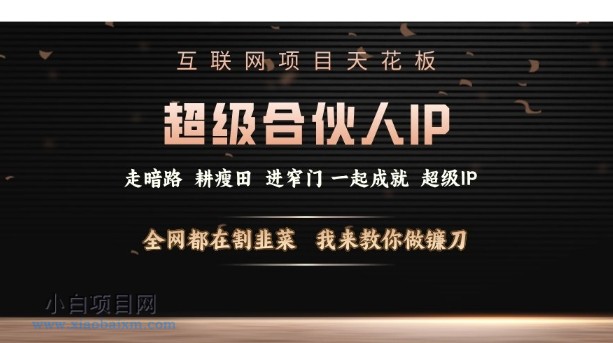 互联网项目天花板,超级合伙人IP,全网都在割韭菜,我来教你做镰刀【仅揭秘】