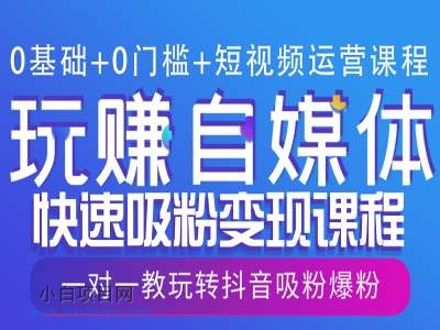 0基础+0门槛+短视频运营课程,玩赚自媒体快速吸粉变现课程,一对一教玩转抖音吸粉爆粉-小白项目分享网
