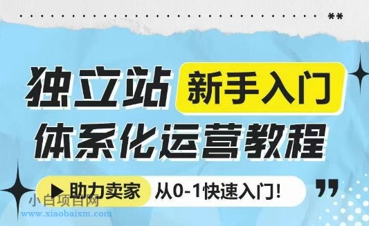 独立站新手入门体系化运营教程，助力独立站卖家从0-1快速入门!-小白项目分享网