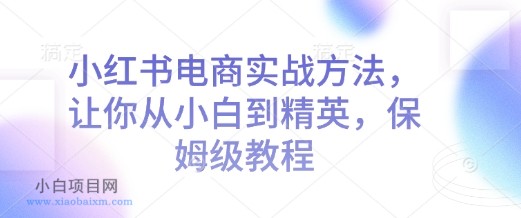 小红书电商实战方法,让你从小白到精英,保姆级教程