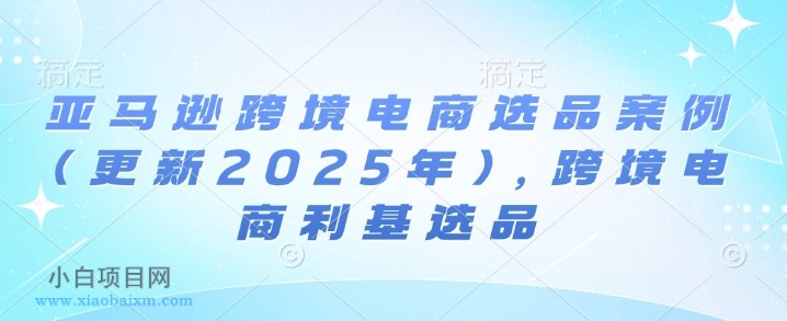 亚马逊跨境电商选品案例(更新2025年),跨境电商利基选品