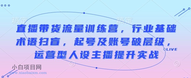 直播带货流量训练营,行业基础术语扫盲,起号及账号破层级,运营型人设主播提升实战