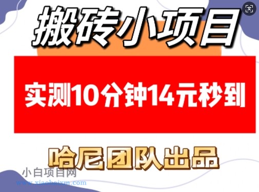 搬砖小项目,实测10分钟14元秒到,每天稳定几张(赠送必看稳定)