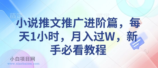 小说推文推广进阶篇，每天1小时，月入过W，新手必看教程-小白项目分享网