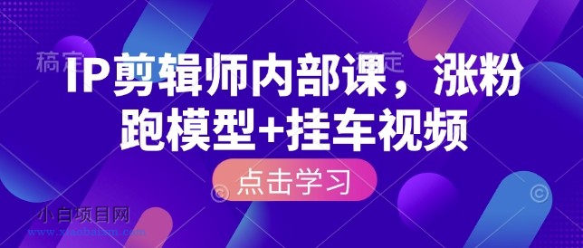 IP剪辑师内部课，涨粉跑模型+挂车视频-小白项目分享网