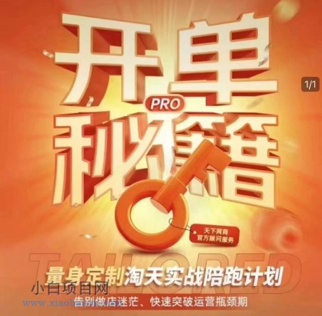 淘宝开单秘籍PRO,量身定制淘天实战陪跑计划,告别做店迷茫、快速突破运营瓶颈期