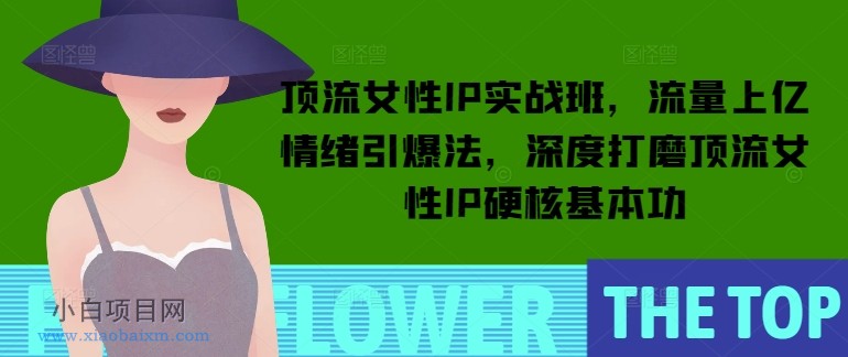 顶流女性IP实战班,流量上亿情绪引爆法,深度打磨顶流女性IP硬核基本功