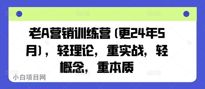老A营销训练营(更25年1月),轻理论,重实战,轻概念,重本质