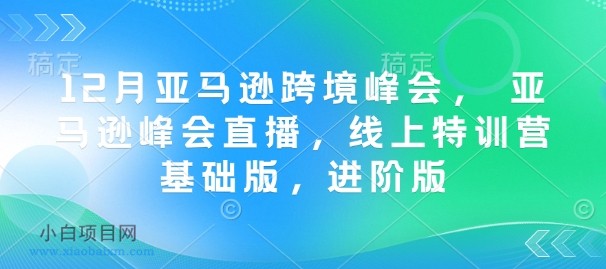 12月亚马逊跨境峰会, 亚马逊峰会直播,线上特训营基础版,进阶版