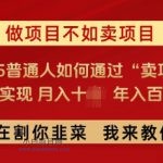 必看,做项目不如卖项目,2025普通人如何通过“卖项目”实现月入十个,年入百个-小白项目分享网