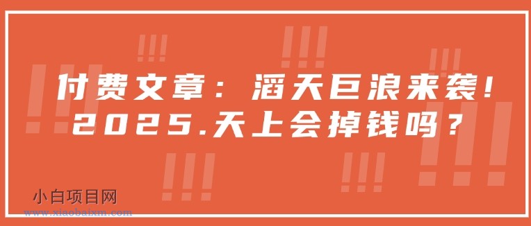 付费文章:滔天巨浪来袭!2025天上会掉钱吗?