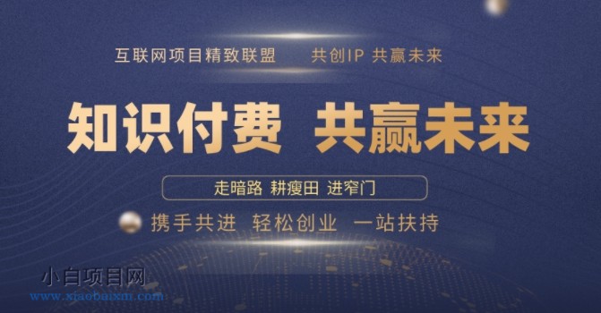 别人苦寻无果,为何他们靠知识付费卖项目 2025 年轻松年入100个?【揭秘】