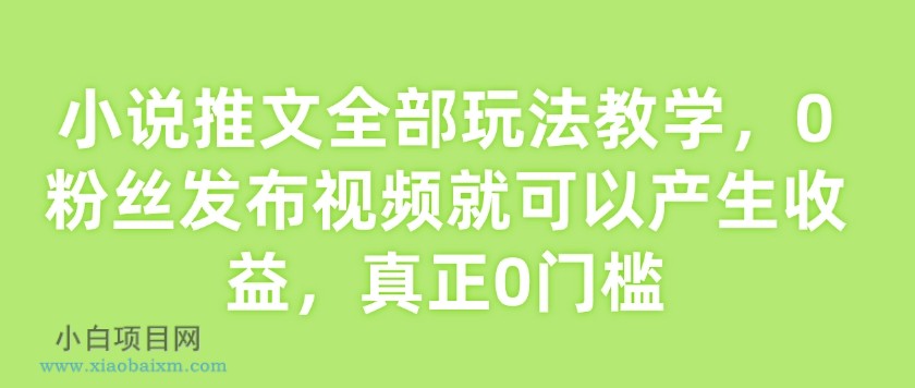小说推文全部玩法教学,0粉丝发布视频就可以产生收益,真正0门槛