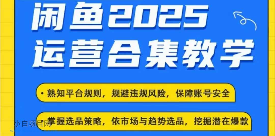 2025闲鱼电商运营全集,2025最新咸鱼玩法