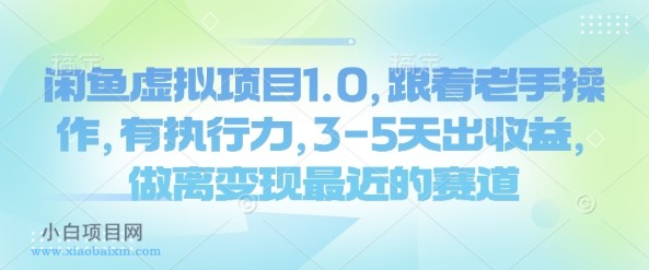 闲鱼虚拟项目1.0,跟着老手操作,有执行力,3-5天出收益,做离变现最近的赛道