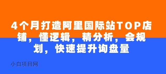 4个月打造阿里国际站TOP店铺,懂逻辑,精分析,会规划,快速提升询盘量