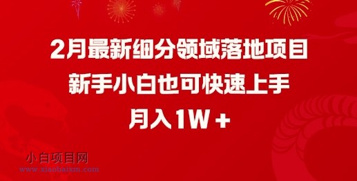 2月最新细分领域落地项目,新手小白也可快速上手,月入1W