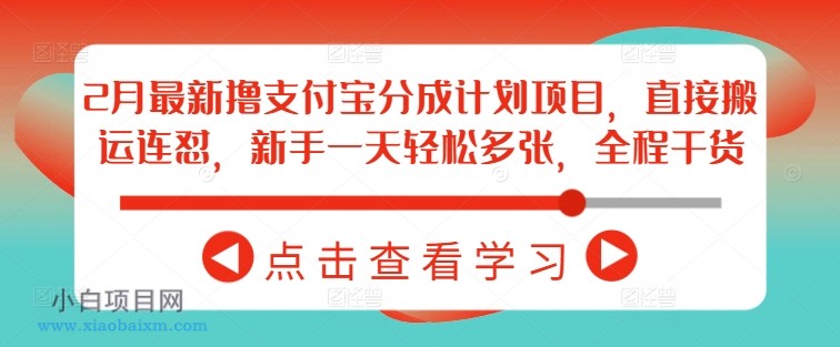 2月最新撸支付宝分成计划项目，直接搬运连怼，新手一天轻松多张，全程干货-小白项目分享网