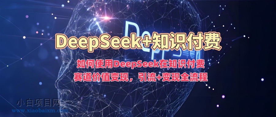 如何使用DeepSeek在知识付费赛道价值变现,引流+变现全流程-小白项目分享网
