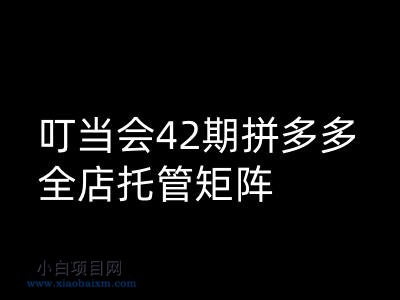叮当会拼多多打爆班原创高阶技术第42期,拼多多全店托管矩阵