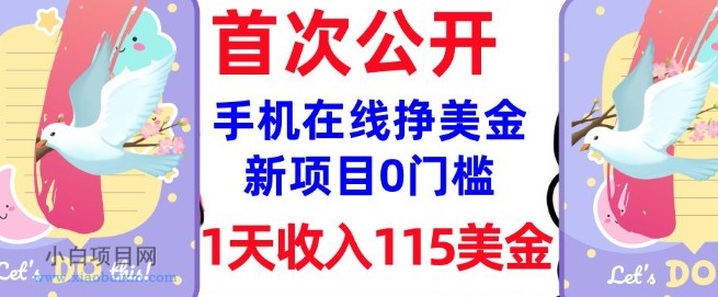 在线挣美金新项目,0门槛,1天收入115美刀,无脑操作,真正被动收入