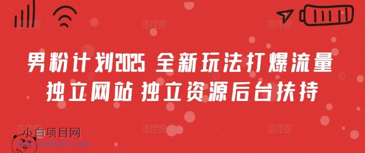 男粉计划2025 全新玩法打爆流量 独立网站 独立资源后台扶持【揭秘】
