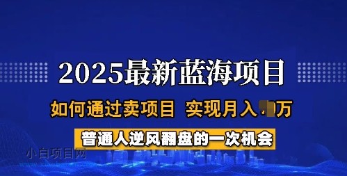 2025蓝海项目,普通人如何通过卖项目,实现月入过W,全过程【揭秘】