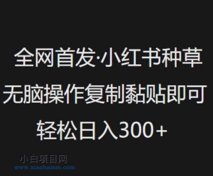 全网首发,小红书种草无脑操作,复制黏贴即可,轻松日入3张