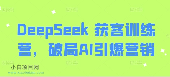 DeepSeek 获客训练营，破局AI引爆营销-小白项目分享网