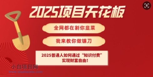 2025项目天花板普通人如何通过知识付费,实现财F自由【揭秘】