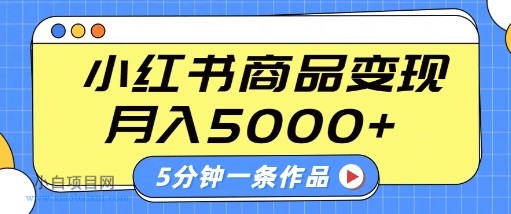 小红书字幕作品玩法,商单变现月入5k+,5分钟一条作品-小白项目分享网