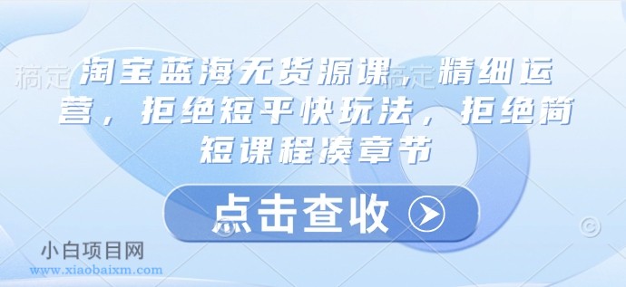 淘宝蓝海无货源课,精细运营,拒绝短平快玩法,拒绝简短课程凑章节