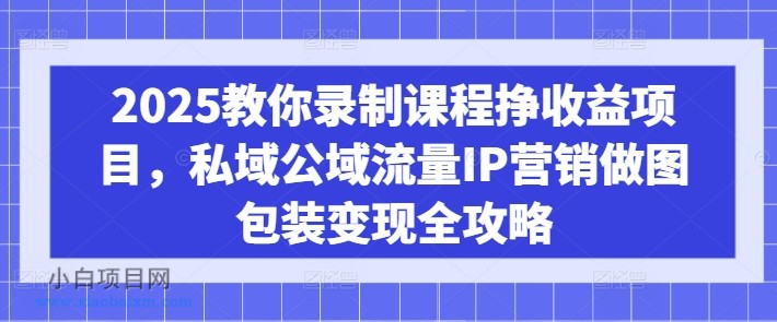 2025教你录制课程挣收益项目,私域公域流量IP营销做图包装变现全攻略