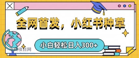 小红书种草,手机项目,日入3张,复制黏贴即可,可矩阵操作,动手不动脑【揭秘】