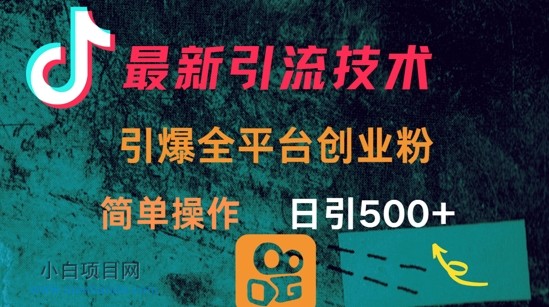 最新引流方法，引爆全平台的一个创业粉，简单操作日引300+-小白项目分享网
