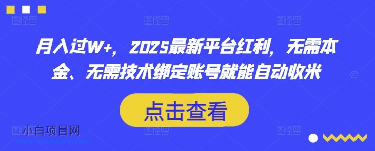 月入过W+，2025最新平台红利，无需本金、无需技术绑定账号就能自动收米-小白项目分享网