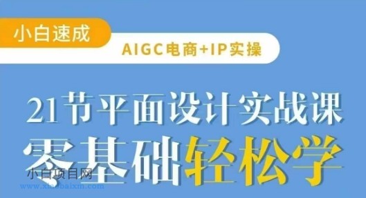 AIGC电商必备实操21节平面设计实战课，教你玩转AI-小白项目分享网